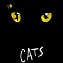 캣츠하우스 이미지