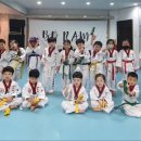 경희대 보람 태권도장 이미지