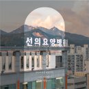 의료법인 선의의료재단 이미지