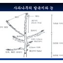 방추 이미지