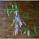 홍사초롱 이미지