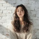 아마릴리스 | 신림역 미용실 아마릴리스헤어 펌 받고 후기 남겨요