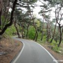 용현목장 이미지