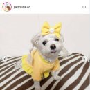 뭉개뭉개 이미지