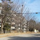 강남최고공인중개사사무소 이미지
