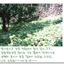 반디농장 이미지