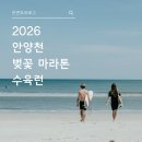 영롱이인라인 | 2026 안양천 벚꽃 마라톤 접수 방법부터 수육런, 당일 후기, 주차까지 한 번에 정리했어요