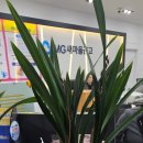 향기나는 화원 이미지