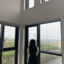 또시오라 이미지