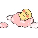성심크린 네이버블로그