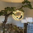 덴바스타 이미지