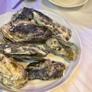 군산박대왕 | [군산] "대물집" 군산나운동술집 가성비 끝판왕 안주 무한 삼촌카세