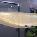 일등공업사 이미지