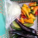 홍집농장 이미지