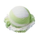 (주)애플민트