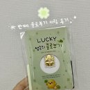 행운공구 | 반떼 순금 키링 [행운의 클로부기] 인스타 공구 후기