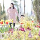 국립백두대간수목원 판매센터 이미지