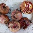 강림이용소 이미지