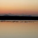 노래를찾는사람들 이미지