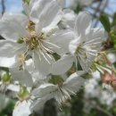 보육교사론 이미지