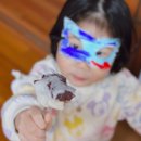 망개떡설송원 | 반월동 답례품 추천! 설송원 망개떡 솔직후기 20개 세트 순삭