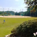 이천시 모가야구장 이미지