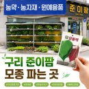우리농약사 | 구리 모종 준이팜에서 아이와 함께 깻잎 씨앗 고른 후기
