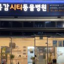 목감동물병원 이미지