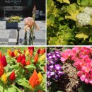 좋은가족들 이미지