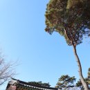 창원 성주사 관음보살입상 | 창원 성주사 - 절을 중창할 때 무거운 목재를 불모산 곰들이 날라주었다는 전설이 있는 창원의 고찰^^