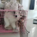 오늘은카레 - 양주시 | 오늘은카레