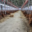 중우축산 이미지