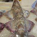 호남상회 이미지