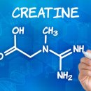 피티그램 이미지