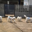 멍스테이션 이미지