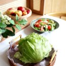 법이네 야채가게 이미지