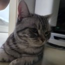 콜라병 몸매 이미지