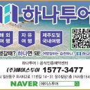 에이스투어 여행사 이미지