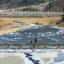 아우라지 이미지