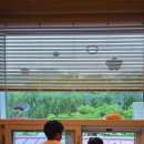 보라빛 낭만펜션 이미지