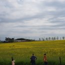 승구농장 이미지