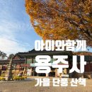 용주사효행박물관 | 아이와 가을단풍 산책 용주사