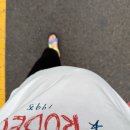 34주 임당 임산부 대구 효성병원 막달검사 후기