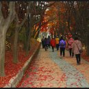승전축산 Daum카페