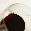 레드 와인 추천 (이마트, 홈플러스, 롯데마트, 와인 아울렛, 백화점)