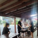 돌고래풀하우스