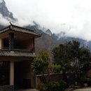 티나하우스 이미지