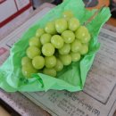 보라농장 이미지