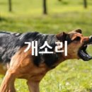 야