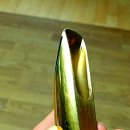 바빗